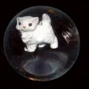 ☆〜（ゝ⚗️。∂）の画像