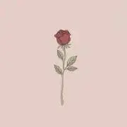 アップルの画像