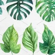 next Leafの画像