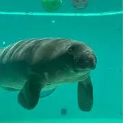 ナイス