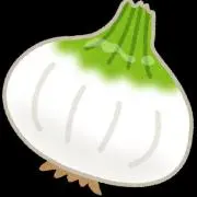 新玉ねぎ