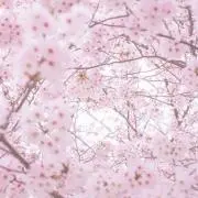 04の画像