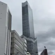 茶の画像