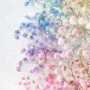 kurimiの画像
