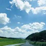 Meyの画像
