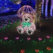 ぱおぱおの画像