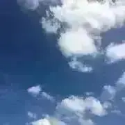 ユウの画像