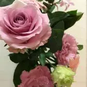 ひぃの画像