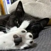 Ree31の画像