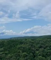 mmの画像