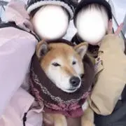 ゆなの画像