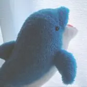いるかの画像