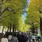 いわう