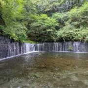 はるの画像