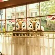 love.chip-n-dale
