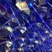 よだかの画像