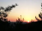 断捨離aの画像
