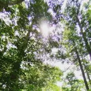mumumumuの画像
