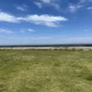 SAM☆KUの画像
