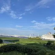 cotamaの画像