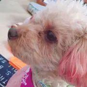 Nanami