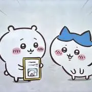 puumaの画像