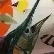 ちーかまの画像