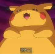 ひなたの画像
