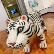 やゆよの画像