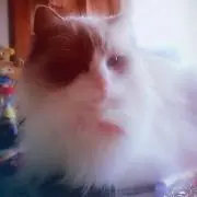 YUKA