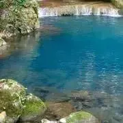 momoの画像