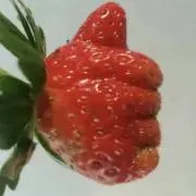 yokkyの画像