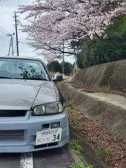 Nの画像