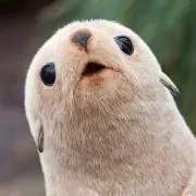りょうたの画像