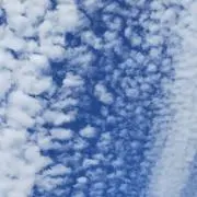 礼音の画像