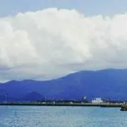 りん茶の画像