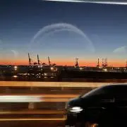 おにぎりの画像