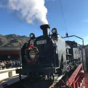 ぴいさん
