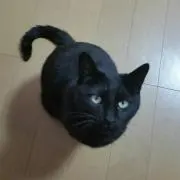 スマイルユウ