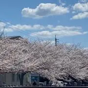 モコ⭐︎