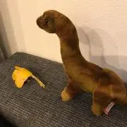 とむの画像