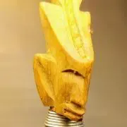 強ちゃんの画像