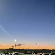 Araの画像