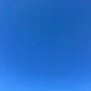 なつ