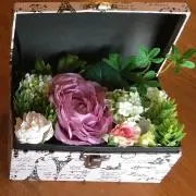 ユミの画像