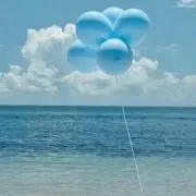 こまりの画像