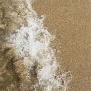 yaの画像