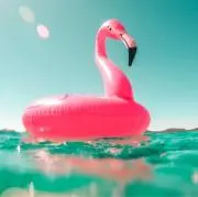 なっぴの画像