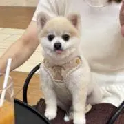 ゆちゃ