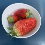 YKYの画像
